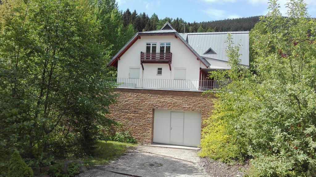 Apartman Labska Apartment Spindleruv Mlyn Exterior photo